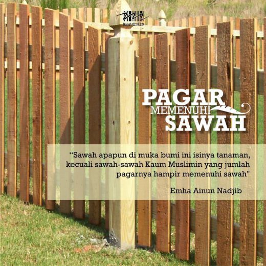 Pagar Memenuhi Sawah