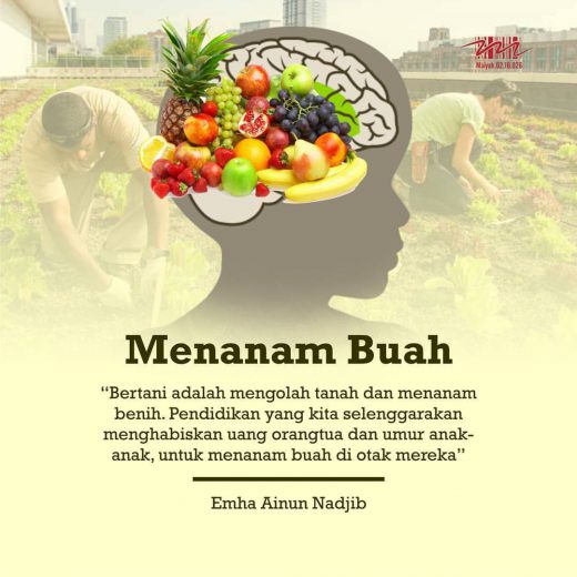 Menanam Buah