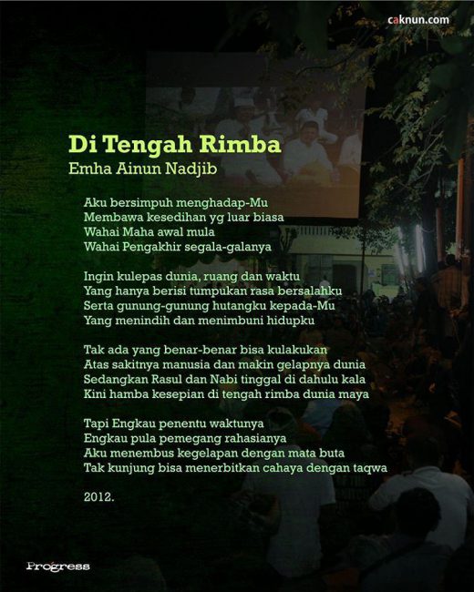 Di Tengah Rimba