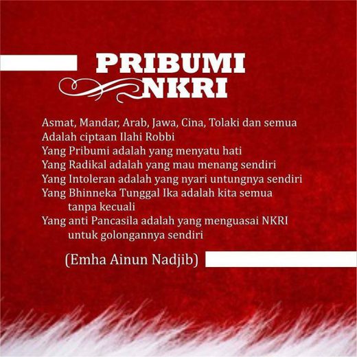 Pribumi NKRI