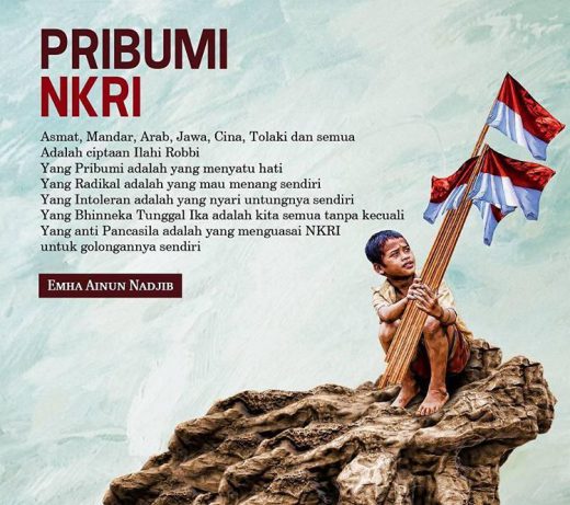 Pribumi NKRI