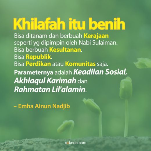 Khilafah Itu Benih